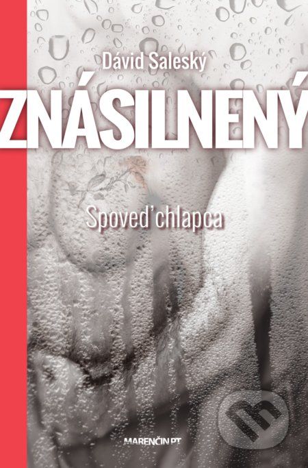 Znásilnený - Spoveď chlapca - Dávid Saleský - obrázek 1