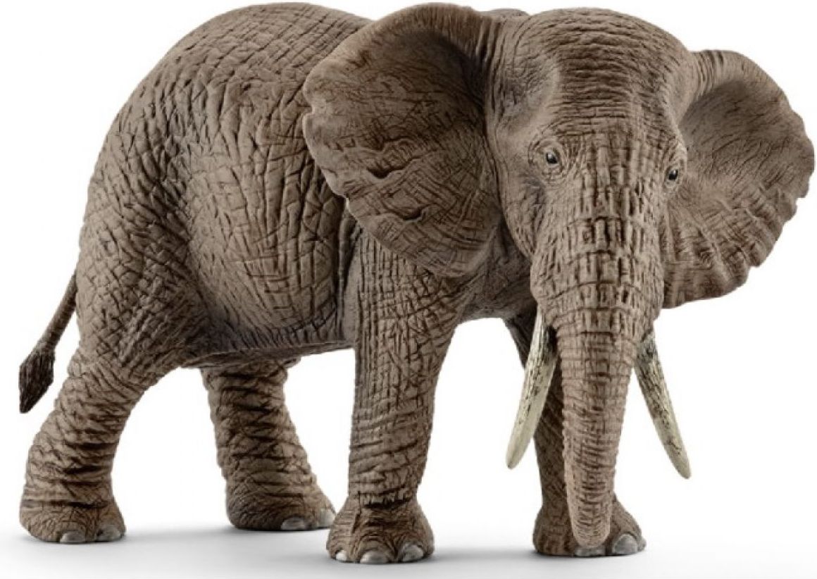 Schleich Slon africký samice - obrázek 1