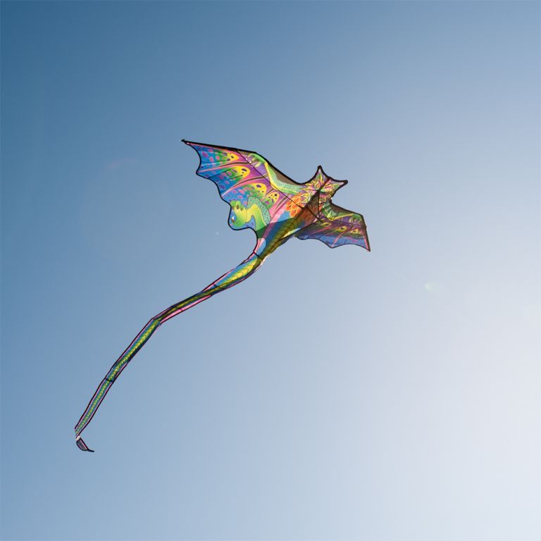 Létající drak 67 x 25 cm - DRAK - obrázek 2