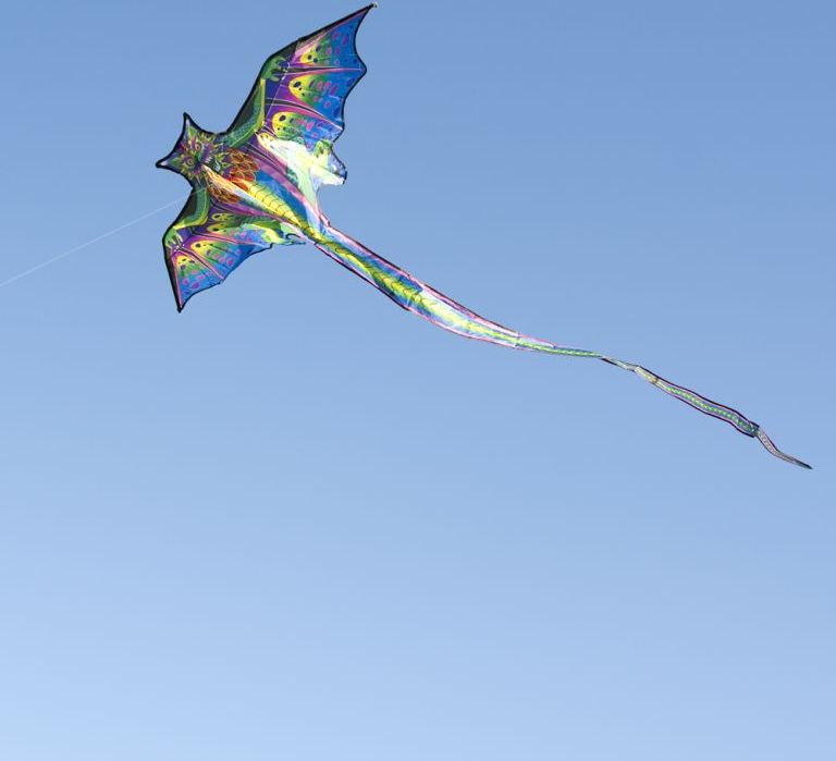 Létající drak 67 x 25 cm - DRAK - obrázek 3
