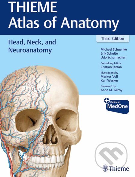 Thieme Atlas of Anatomy: Head, Neck and Neuroanatomy - Michael Schuenke, Erik Schulte, Udo Schumacher, Cristian Stefan, Karl H. Wesker (llustrátor), Markus Voll (llustrátor) - obrázek 1