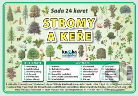 Sada 24 karet - stromy a keře - Petr Kupka - obrázek 1
