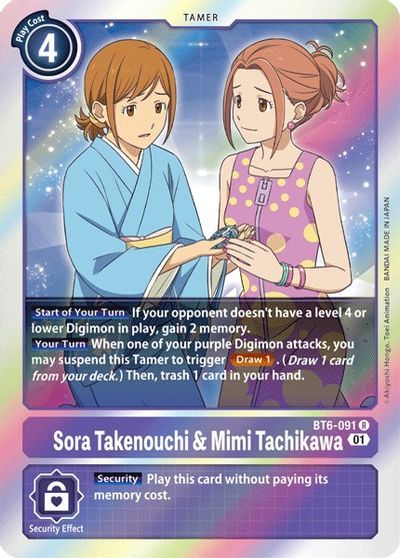 Sora Takenouchi & Mimi Tachikawa (TAMER) / DIGIMON - obrázek 1