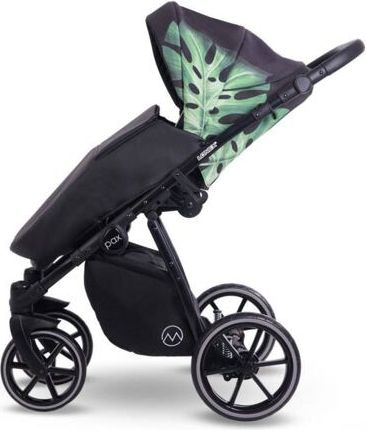 Kočárek Lonex Pax dvojkombinace Fresh - obrázek 2
