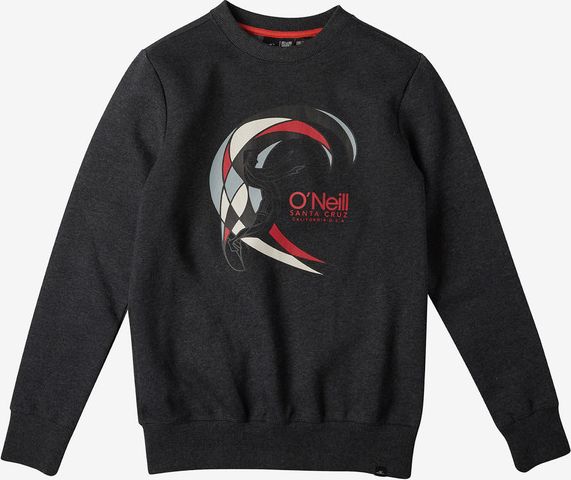 Circle Surfer Mikina dětská O'Neill | Šedá | Chlapecké | 176 - obrázek 3