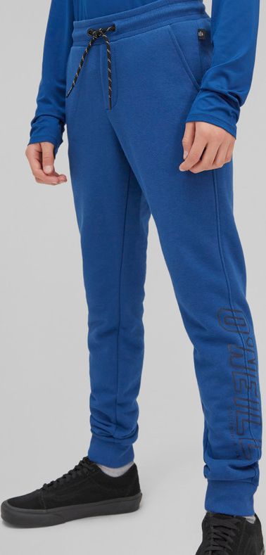 All Year Jogger Pants Tepláky dětské O'Neill | Modrá | Chlapecké | 164 - obrázek 1