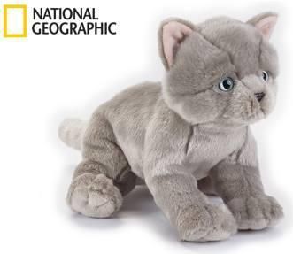 National Geographic Kids Britská kočka 33 cm - obrázek 1