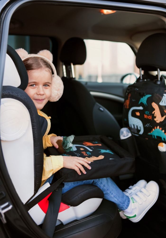 LEOKID Pultík k autosedačce Leokid - obrázek 2