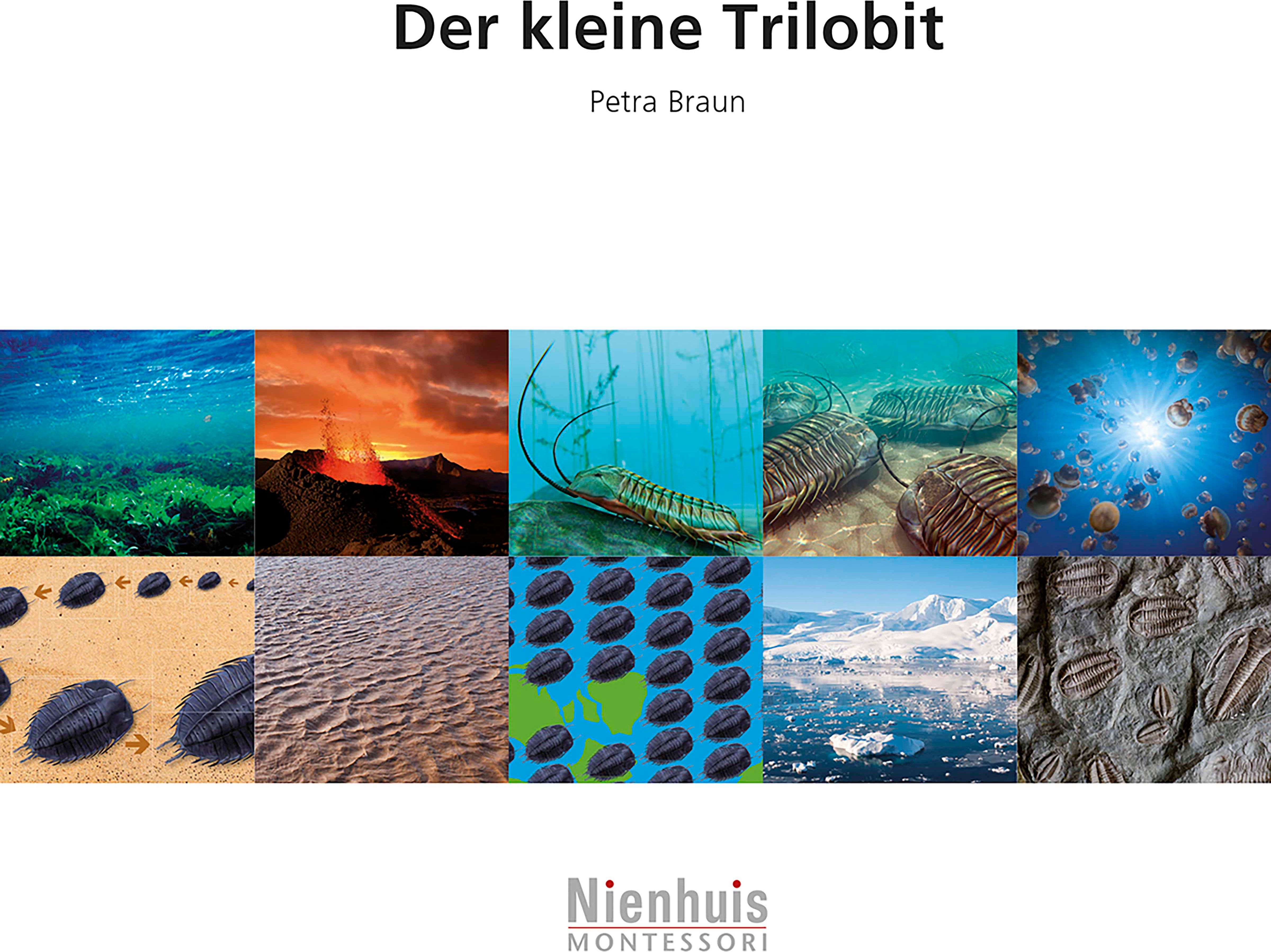 Nienhuis Montessori 523192 Der kleine Trilobit (German version) - obrázek 1
