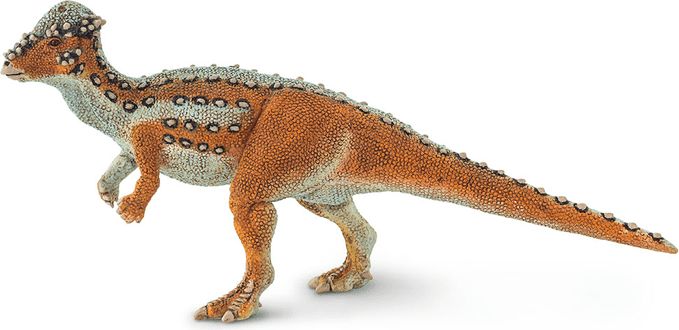 Safari Ltd. Pachycephalosaurus - obrázek 1