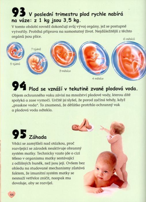 Nakladatelství SUN 101 věcí: O lidském těle - obrázek 2