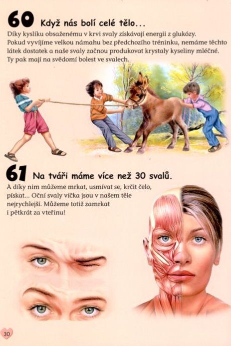 Nakladatelství SUN 101 věcí: O lidském těle - obrázek 3