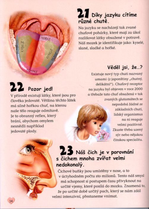 Nakladatelství SUN 101 věcí: O lidském těle - obrázek 4