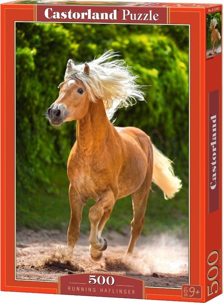 CASTORLAND Puzzle Běžící Haflinger 500 dílků - obrázek 2