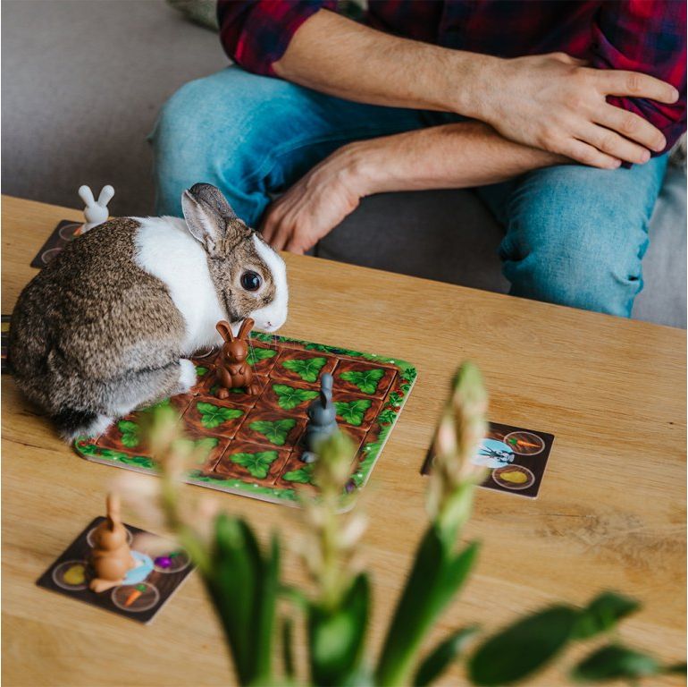 SmartGames - stolní hra Grabbit SGM510 - obrázek 7