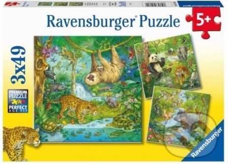 Zvířata v džungli - Ravensburger - obrázek 1
