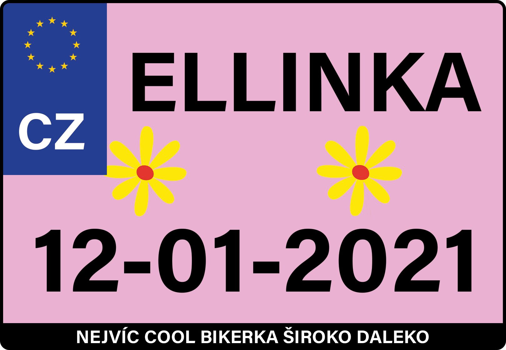 Dětské odrážedlo Zap značky Toyz, dřevěné, barva modrá, s osobní SPZ Text na SPZ: Budoucí cyklistická star, Barva SPZ: modrá - obrázek 9