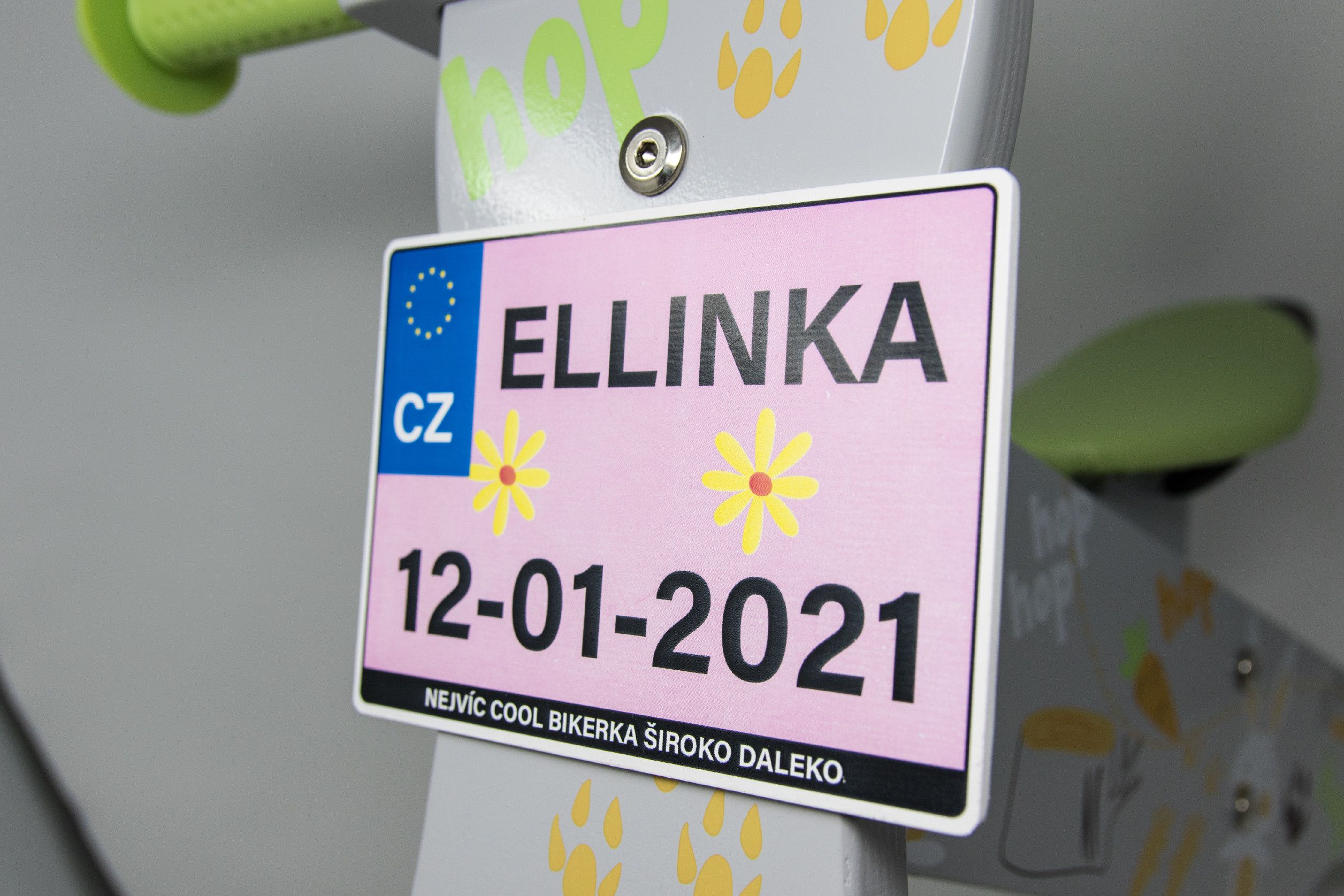 Dětské odrážedlo Zap značky Toyz, dřevěné, barva šedá, s osobní SPZ Text na SPZ: Jsem nejrychlejší, Barva SPZ: - - obrázek 3