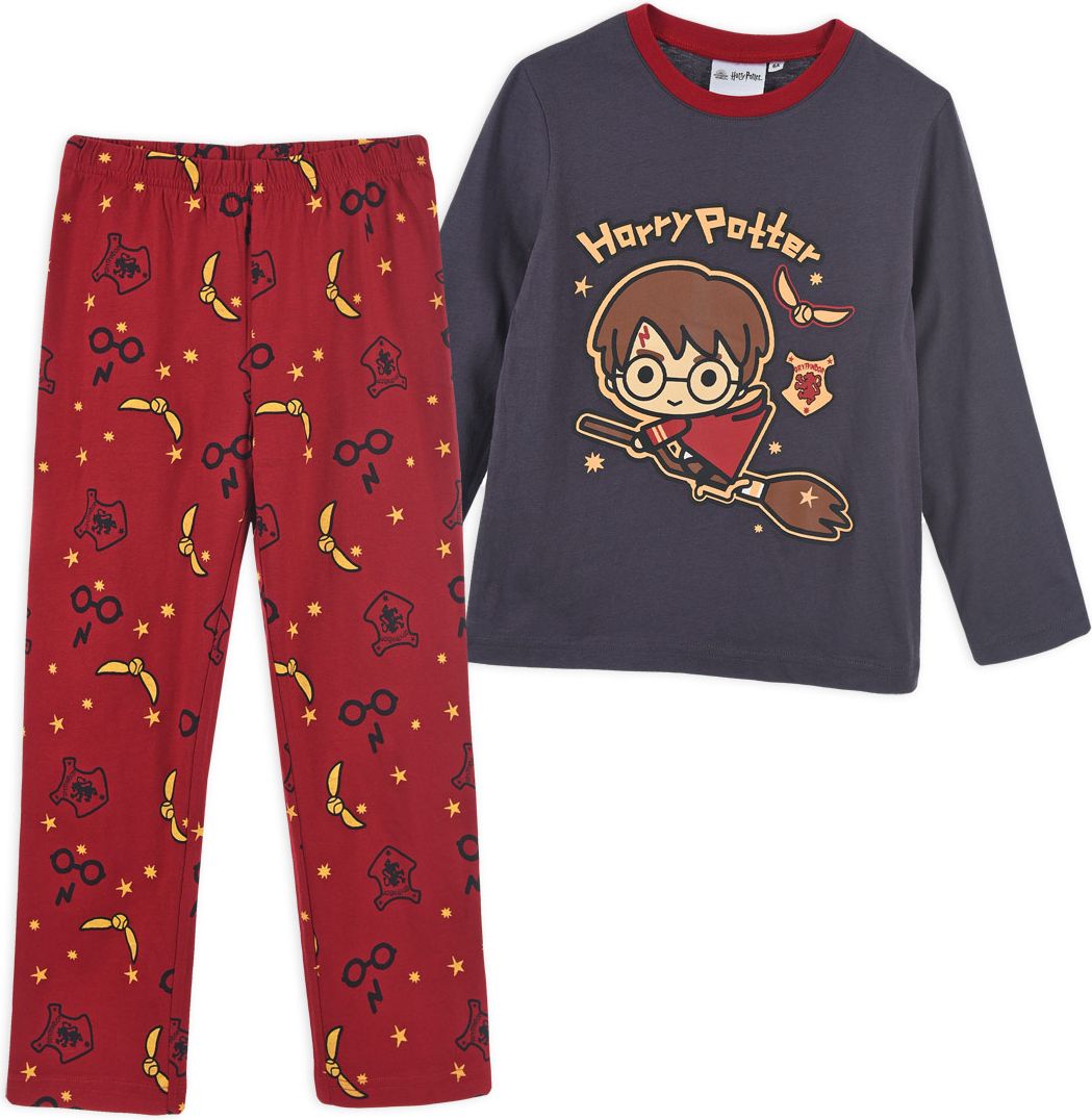 Chlapecké pyžamo HARRY POTTER šedé Velikost: 104 - obrázek 1