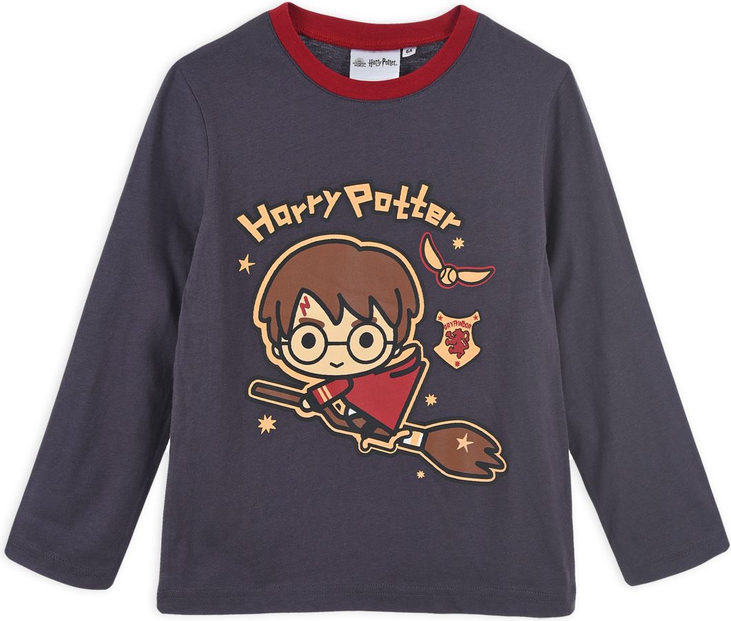 Chlapecké pyžamo HARRY POTTER šedé Velikost: 104 - obrázek 3