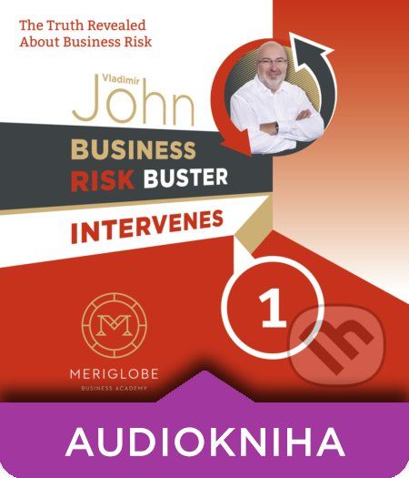 Business Risk Buster Intervenes 1 - Vladimír John - obrázek 1