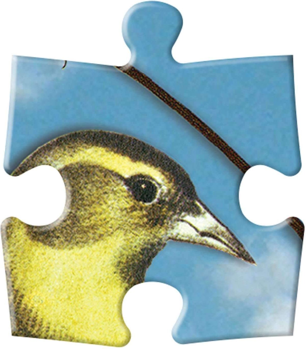 Galison Oboustranné puzzle Ptačí symfonie 250 dílků - obrázek 4