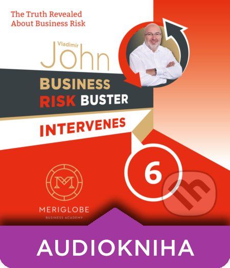 Business Risk Buster Intervenes 6 - Vladimír John - obrázek 1