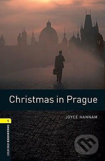 Library 1 - Christmas in Prague - Joyce Hannam - obrázek 1