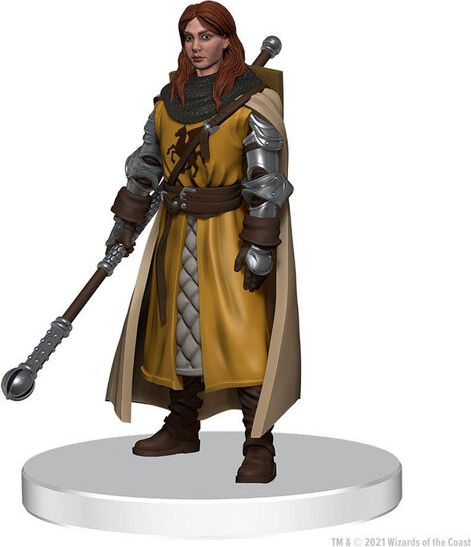 WizKids D&D Icons of the Realms Miniatures: Valor's Call Starter Set - obrázek 6