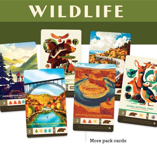 Keymaster Games Parks: Wildlife Expansion - obrázek 2