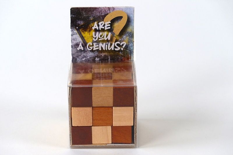 RECENTTOYS Are you a Genius - obrázek 1