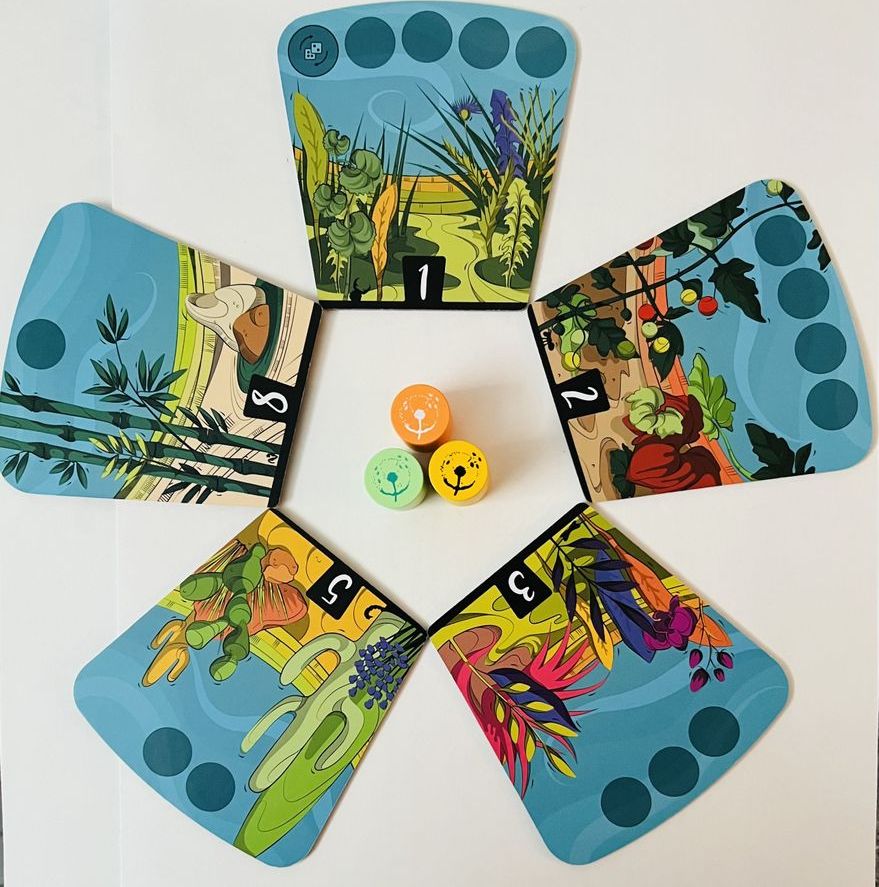 BoardGameTables.com Dandelions - obrázek 2