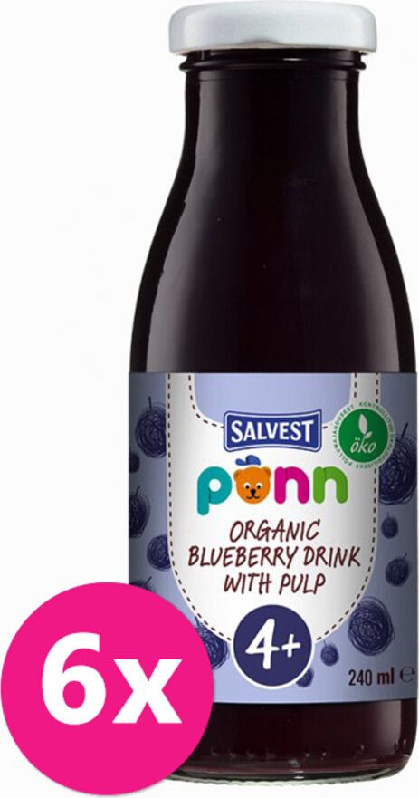 Salvest Põnn BIO Borůvková s dužinou 6 x 240 ml - obrázek 1