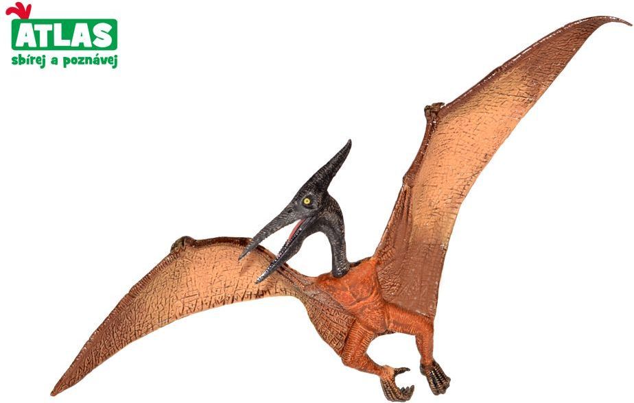 C - Figurka Dino Pteranodon 22 cm - obrázek 1