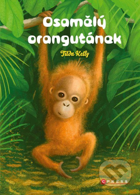 Osamělý orangutánek - Tilda Kelly - obrázek 1