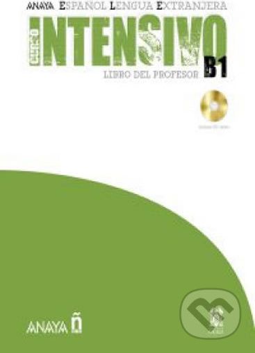 Anayaele Intensivo B1: Libro del Profesor - Alvarez Angeles Martinéz - obrázek 1