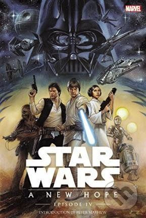 Star Wars IV - Roy Thomas, Howard Chaykin (ilustrátor) - obrázek 1