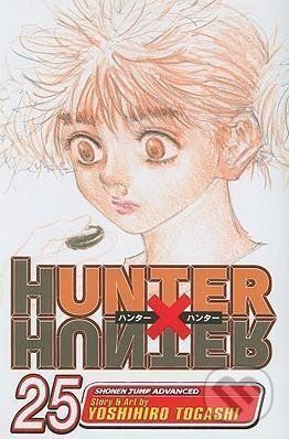 Hunter x Hunter 25 - Yoshihiro Togashi - obrázek 1