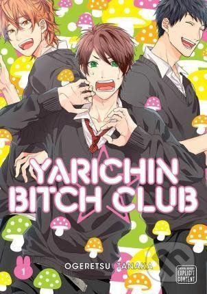 Yarichin Bitch Club 1 - Ogeretsu Tanaka - obrázek 1