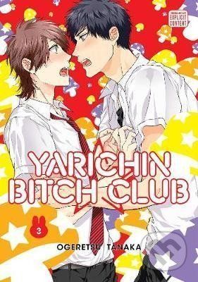 Yarichin Bitch Club 3 - Ogeretsu Tanaka - obrázek 1