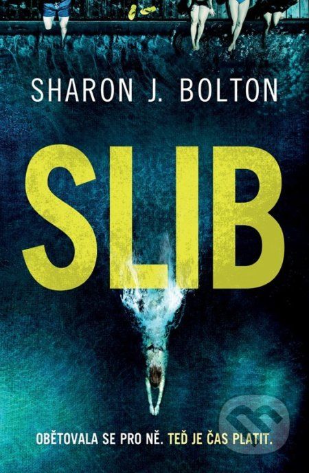 Slib - Sharon J. Bolton - obrázek 1