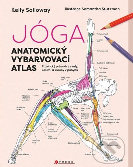 Jóga: anatomický vybarvovací atlas - CPRESS - obrázek 1