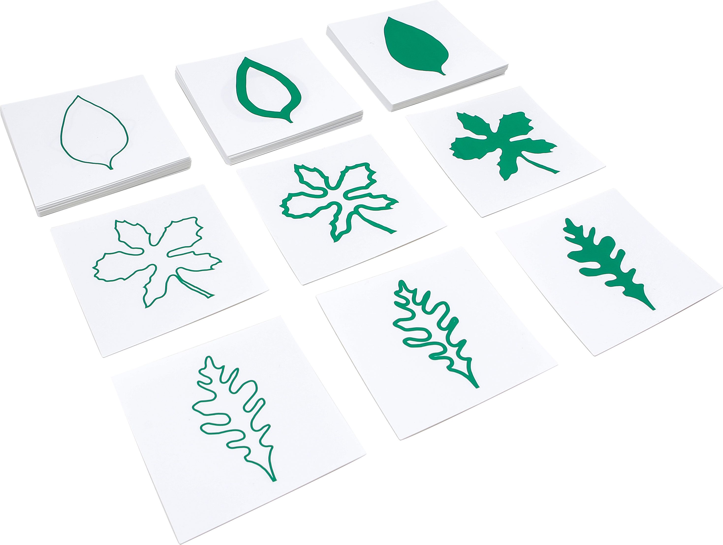 Leaf Cards - obrázek 1