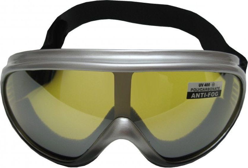 HolidaySport Lyžařské brýle Cortini Yetti G1324 junior stříbrné - obrázek 1