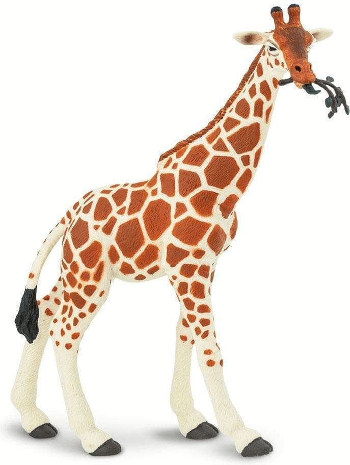 Safari Ltd. Žirafa síťovaná - obrázek 1
