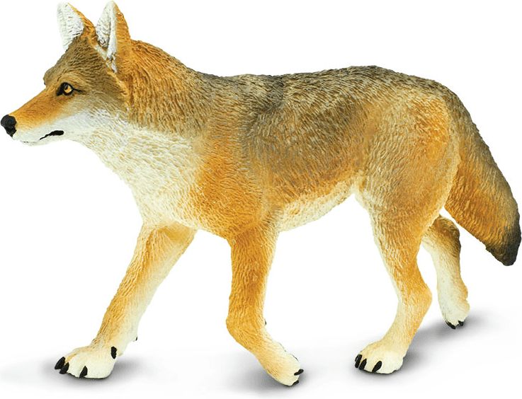 Safari Ltd. Kojot - obrázek 1