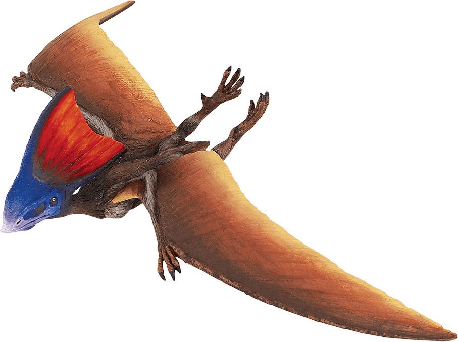 Safari Ltd. Tapejara (pterosaurus) - obrázek 1