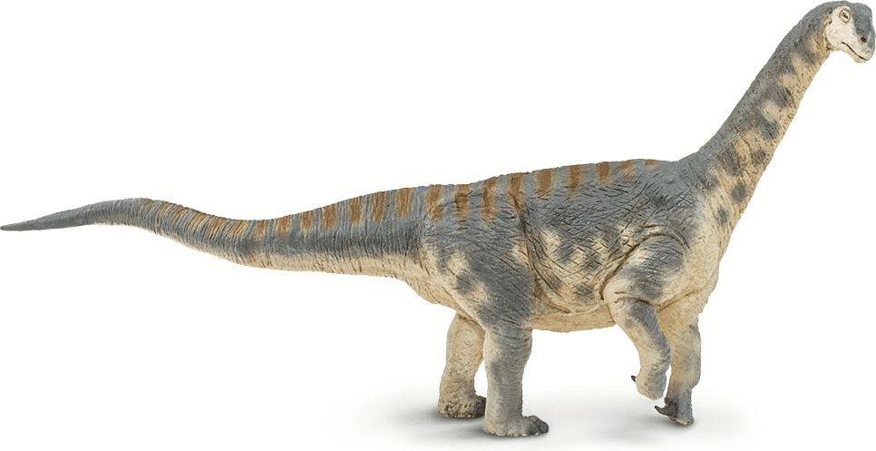 Safari Ltd. Camarasaurus - obrázek 1