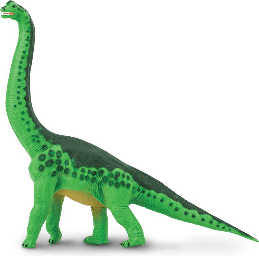 Safari Ltd. Brachiosaurus - obrázek 1