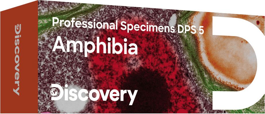 Discovery Prof Specimens DPS 5 Amphibia. - obrázek 1